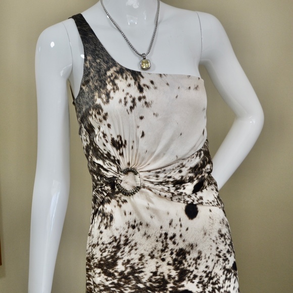 🇮🇹 2000s Collection  ROBERTO CAVALLI  Silk Snow Leopard Pattern Dress  size 2 - Picture 9 of 16